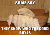 SOME SAY THEY KNOWWHO THEGOOD BOY IS quickmeme.com