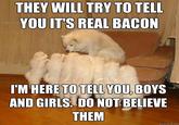 THEY WILL TRY TO TELL YOU IT'S REAL BACON I'M HERE TO TELL YOU, BOYS AND GIRIS. DO NOTBELIEVE THEM quickmeme.com