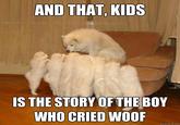 AND THAT, KIDS IS THE STORY OFTHE BOY WHO CRIED WOOF quickmeme.com