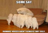 SOME SAY HUMANS' VOICES AREN'T ALWAYS THAT SILLY quickmeme.com