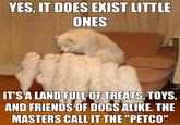 YES, IT DOES EKIST LITTLE ONES TS A LAND FULL OF TREATS, TOYS. AND FRIENDS OF DOGS ALIKE. THE MASTERS CALL IT THE "PETCO" quickmeme.com
