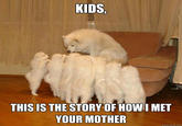 KIDS, THIS IS THE STORY OF HOWI MET YOUR MOTHER quickmeme.com