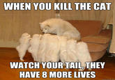 WHEN YOU KILL THE CAT WATCH YOUR TAIL THEY HAVE 8 MORE LIVES quickmeme.com