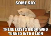 SOME SAY THERE EXISTS ADOG WHO TURNED INTO A LION quickmeme.com