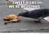 SWEET JESUS WE'RE DELICIOUS