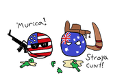The Polandball meme claims this entry before Hetfalia posts. 