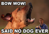 BOW WOW! SAID NO DOG EVER