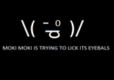 MOKI MOKI IS TRYING TO LUCK ITS EYEBALS