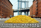061.jpg SUDDENLY, BANANAS. THOUSANDS OF THEM