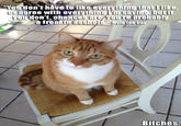 Mylo the Cat assures you that it's ok not to agree with him. Bitches. 