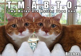 Two Mylo's are better than one!  