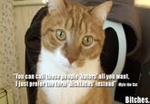 Mylo the Cat thinks we should all stop using the word hater. Bitches.