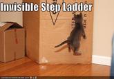 Invisible StepLadider ICANHASCHEEZBURGER.COM.$류$
