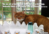 Mylo the Cat reminds you that nobody likes a d------. 