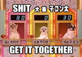フランスサンドリーヌ 大阪子ゴン太 GETITTOGETHER