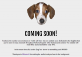 COMING SOON! FrankerZ the number one emoticon on Twitch will have his own website soon dedicated to the DogBots that you've seen in many channels throughout Twitch alongside other features and content. The website will most likley launch sometime early 2013. In the mean time click on the DogFace above for something cool! #YOWO Thank you to NIMaster64 for making the audio track you hear in the background.