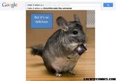 Google immr i hate it when a chinchilla t hate it when a chinchilla eats the universe But it's so delicious LOLWTFCOMICs.COM