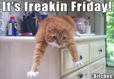 It's freakin Frinday Bitches! 