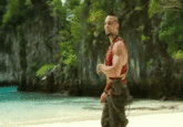 Vaas