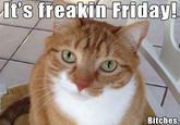 It's freakin Friday Bitches!  