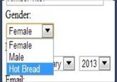 Gender: Female |▼ Female Male Hot Bread ry 2013 Emai