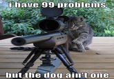 have 99 problems but the dog ain't one
