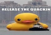 RELEASE THE QUACKIN