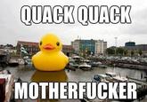 QUACK QUACK M-----------