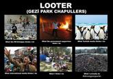 LOOTER (GEZi PARK CHAPULLERS) What the government supporters think I do What Turkish media thinks I do What the PM Erdoğan thinks I do 끗 立 What international media thinks I do What I think I do What I actually do #direngeziparki