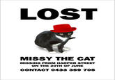 LOST MISSY THE CAT MISSING FROM HARPER STREET ON THE 20TH OF JUNE CONTACT 0433 359 705