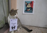 MORRIS Yo Apoyo a ml Candigato MORRIS orn