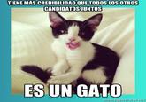 TIENE MAS CREDIBILIDAD OUE TODOSLOS OTROS CANDIDATOSJUNTOS ES UN GATO
