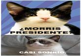 MORRIS PRESIDENTE 0 CASI SONRÍO