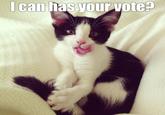 |can has your vote?