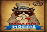 aprovao MORRIS VOTA POR MORRIS Este 7 de julio GRUMPY CAT LO AVALA