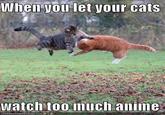 When youlet your cats watch toomuchanime