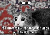 caffeine Vou know you've had too much when you can see noises : A N HA S CH E EZBURGER.COM