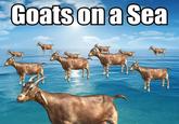 Goatsona Sea