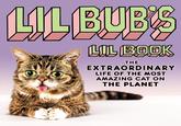 2 2 LIL BOBK THE EXTRAORDINARY LIFE OF THE MOST AMAZING CAT ON THE PLANET