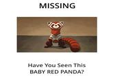 MISSING Have You Seen This BABY RED PANDA?