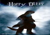 <a href="http://www.worth1000.com/entries/256996/harry-otter">Source</a>
