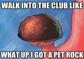 WALK INTO THE CLUBLIKE WHAT UPIGOT A PET ROCK
