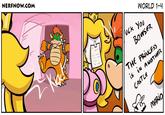 638.jpg NERFNOW.COM MIA WORLD 1-4 Ck You BowSER 0 IS 、N ANOTHER CASTLE THE PRjNcess MANO