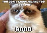 [Image - 485464] | Grumpy Cat | Know Your Meme