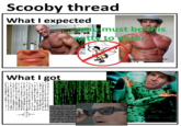 Scooby thread What I expected >you must be this atty to enter scoobysworkshop.com What I got 2.