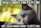 REALLY WANT YOUTOPET ME BUTIALSO KINDA WANT TO BITE YOU