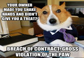 YOUR OWNER MADE YOUSHAKE HANDS AND DIDNT GIVE YOU A TREAT BREACHOFCONTRACT, GROSS VIOLATIONOFTHE PAW