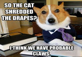 SOTHE CAT SHREDDED THE DRAPES? LTHINKWE HAVE PROBABLE CLAWS