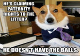 HE'S CLAIMING PATERNITY RIGHTS TO THE LITTER? HE DOESN'T HAVE THE BALLS