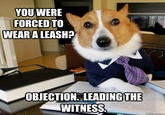 YOU WERE FORCED TO WEARA LEASH? OBJECTION. LEADING THE WITNESS